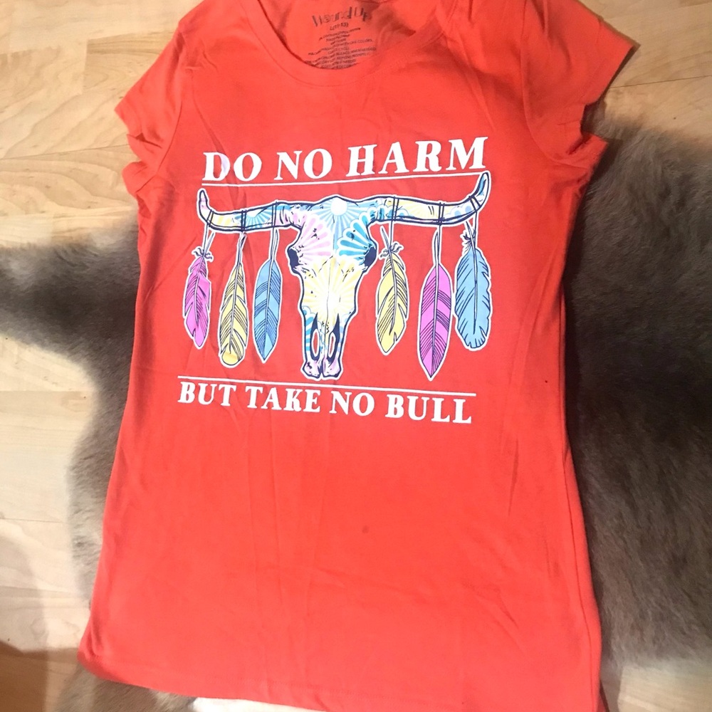 NWOT Large Fitted Tee Do No Harm But Take No Bull